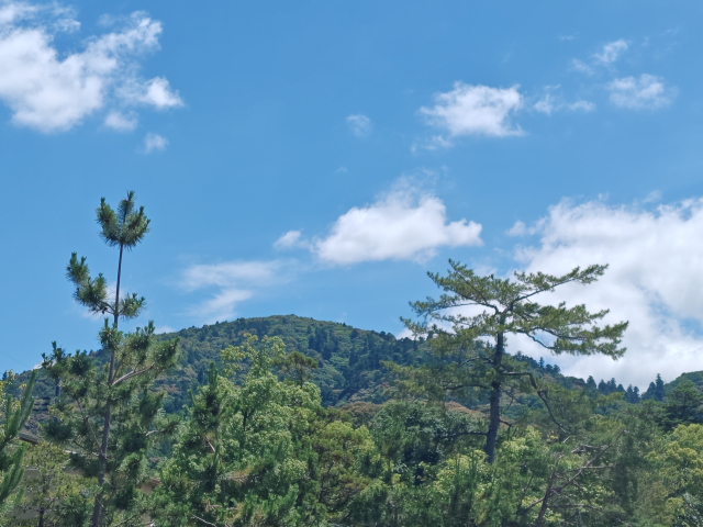 ご神体の三輪山